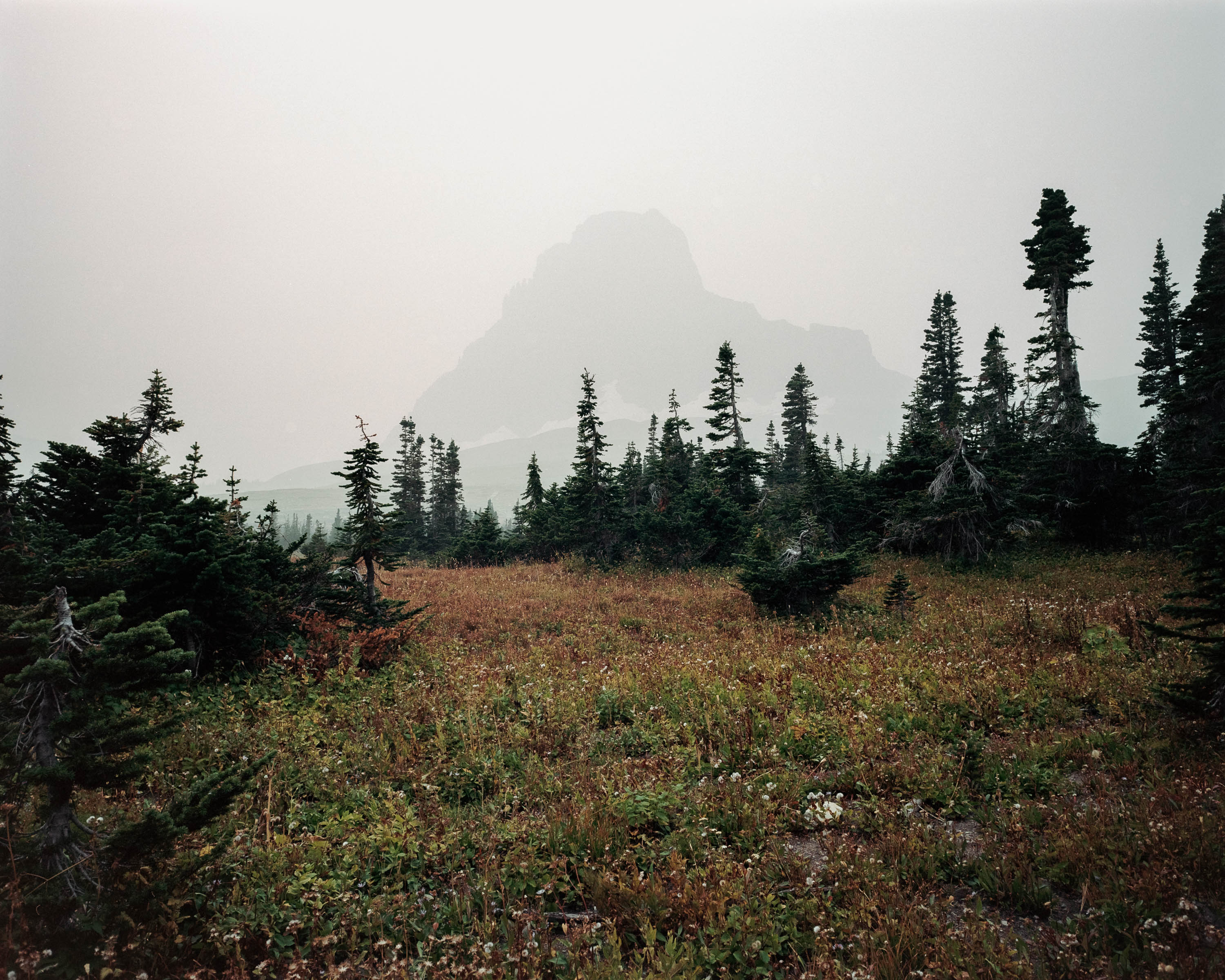 Photo of a mountain in smoke with beautiful trees